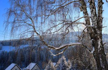 Widokówka Kletno - komfortowe domy pod Śnieżnikiem, balia na wyłączność - Foto 38