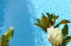 Villa Verde - Foto 6