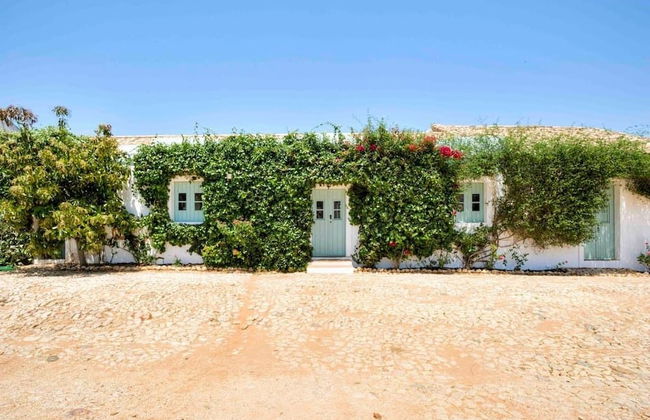 Morgado do Quintao - Foto 65