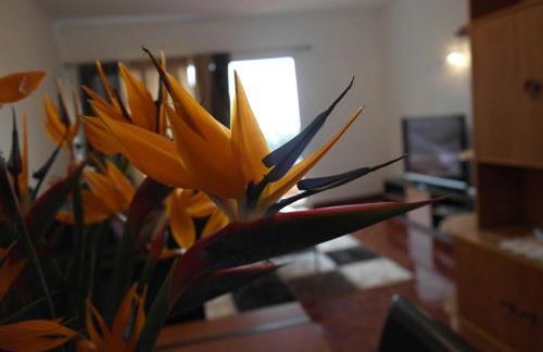 Inmaculado Apartment - Foto 43