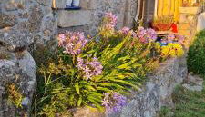 Kelerdut Plage - Foto 3