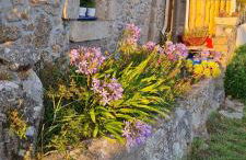 Kelerdut Plage - Foto 3