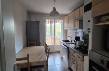 3 chambres dans grand T4 Proche Lac, ENTPE, Planétarium & Autoroute - Foto 2