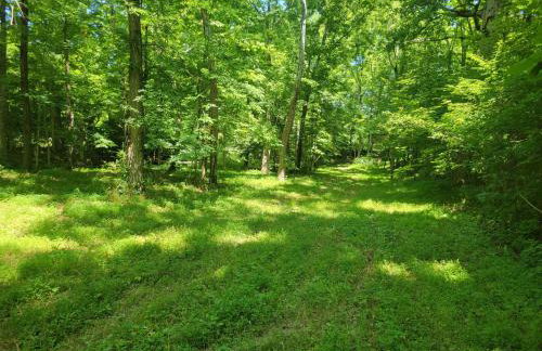 Echo Valley Outdoor Oasis Campsite - Foto 19