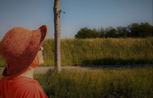 Holiday Apartment Central - Photo 5