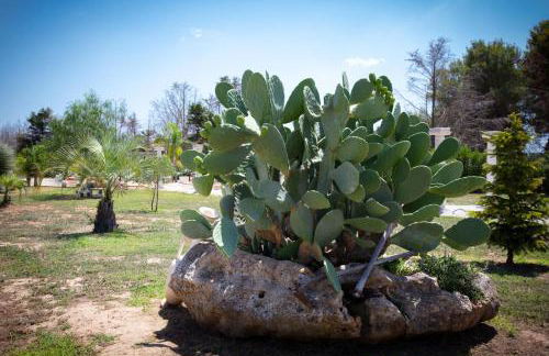 Apulia Luxury Dream - Foto 20