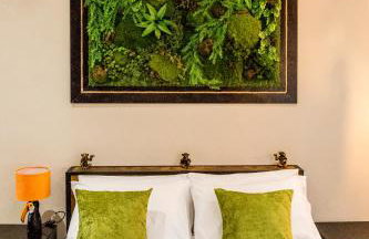 The Jungle! House with Hot Tub. - Foto 14