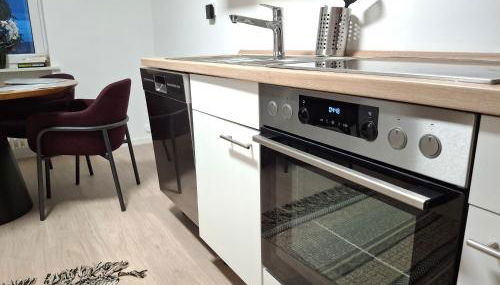 Neu renovierte Wohnung mit Traumaussicht & Natur pur - Foto 4, stove, dishwasher