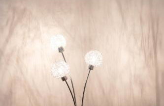 Glebe Street Apartment - Foto 60