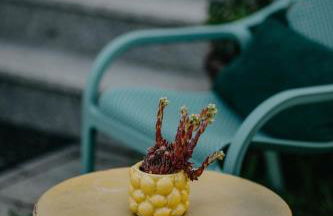 Haus Bergfrieden - Foto 29