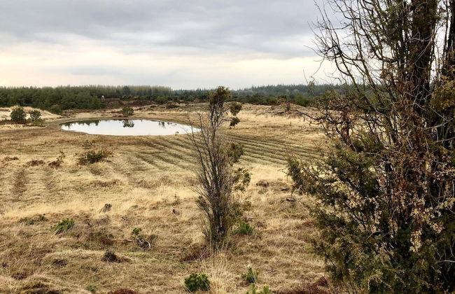 5 Person Holiday Home in Hovborg - Foto 22