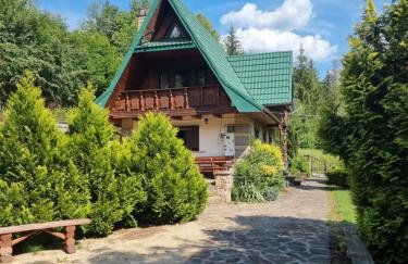 Dzikie południe - Foto 24