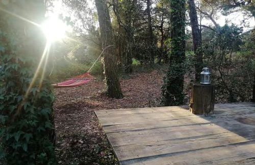 Natura Tiny House Porto - Foto 3