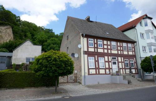 Blaue Gans - Foto 14