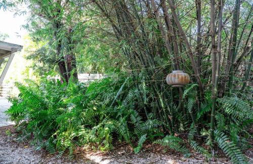 Siesta Key under The Banyan Tree 3 bed 3 bath - Foto 29