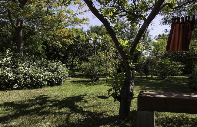 Tenuta Santa Tecla - Foto 69