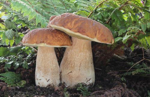 Apartament a Sant Celoni, Montseny, Barcelona - Foto 25