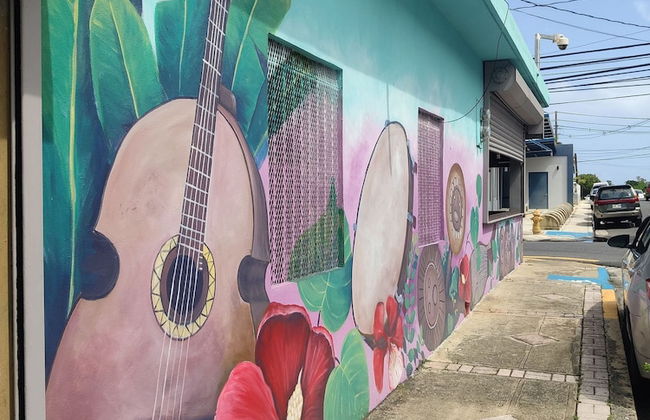 Beachfront Studios - Photo 38