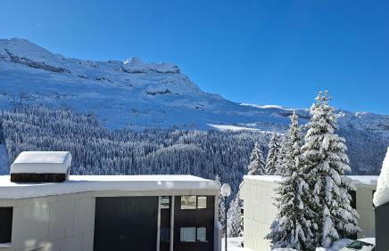 Appartement Flaine Forêt - Foto 72