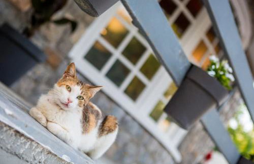 Greece Seaside villa 200sq m 20m from sea - Foto 37