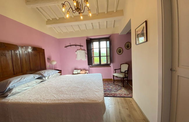 Podere Terreno alla Via della Volpaia - Foto 14