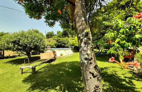 Casa do Paço - Foto 36