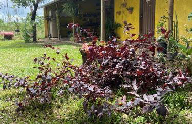 Pousada Sitio do Terrão a 500 metros da BR 040 e a 10 minutos da Prainha - Foto 66