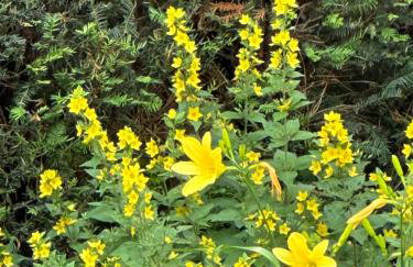 Architektenhaus Hello in Erbach mit High End Interieur zentral aber ruhig - Foto 39