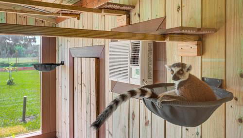 Sleep With Sloths and Lemurs! Modern Webster Home - Foto 2