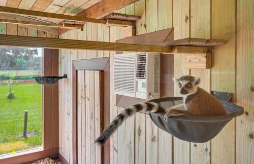 Sleep With Sloths and Lemurs! Modern Webster Home - Foto 2