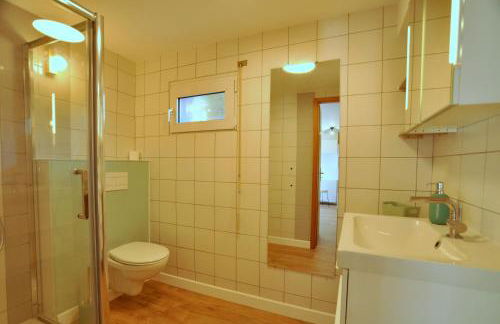 Aux cigognes de Blotzheim - Foto 25