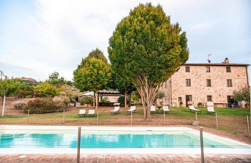 San Carlo a La Molinella - Photo 23