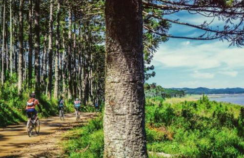 Montalivet à 1km,Villa(jardin)à 1km plages wifi - Foto 21