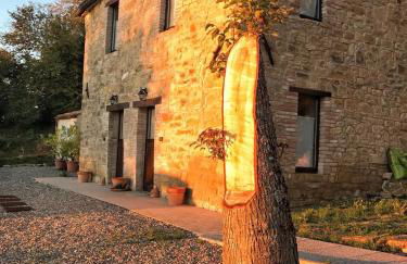 LA TANA DEL PICCHIO - Photo 1