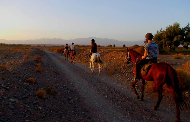 Appartement Terrasse De Skoura - Foto 19
