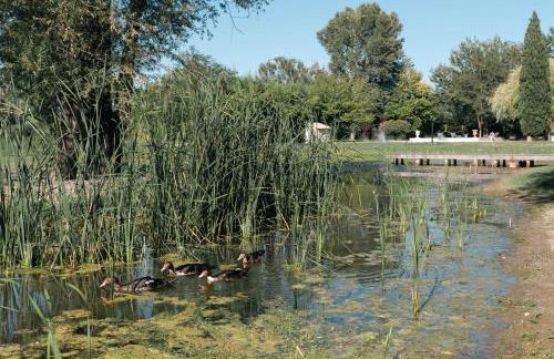 Mas du Versadou, dans un espace naturel protégé, piscine couverte chauffée toute l'année, Spa et salle de jeux - Foto 15