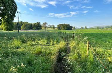 Appleyard Cottage - Yorkshire Dales - Photo 24