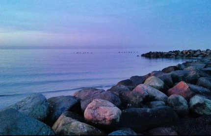 Fewo Zwergseeschwalbe - Ostsee at its best! - Foto 18