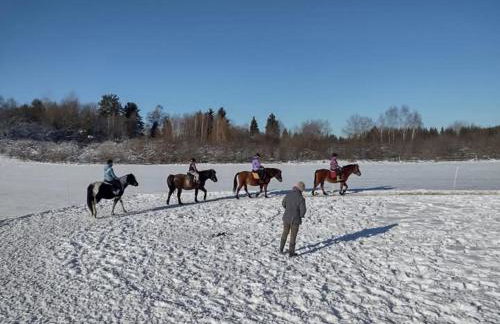 Bieszczadzka Chatka Gosia - Off Road , Quady , Jazda Konna - Foto 34