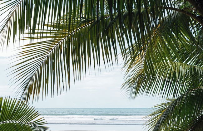 Cedrela Beach Villas - Foto 33