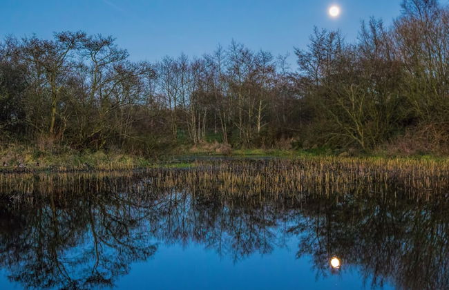 Ballylagan Organic Farm - Foto 28