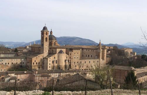 Agri Divin Amore - Foto 12