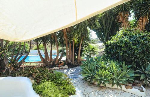 Finca Vino Tinto 5s - Foto 14