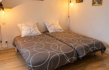 Plein centre Auray - Grand duplex 2 suites avec terrasse ensoleillée - Photo 12