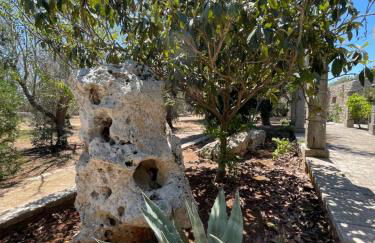 Agriturismo Salento Pietralata - Foto 11