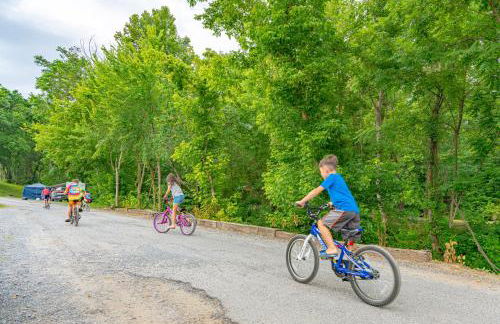 Jellystone Park at Natural Bridge - Foto 26