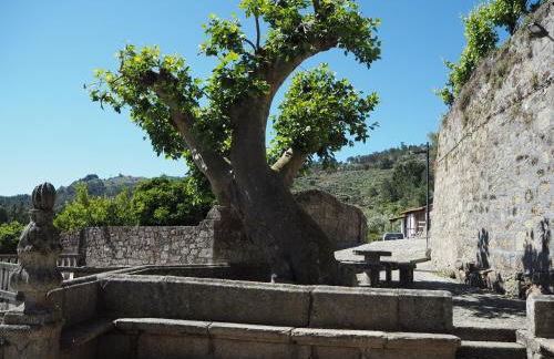 Casa do Balcao - Foto 9