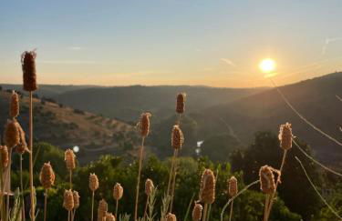 Sweet Quintanilha - Foto 51