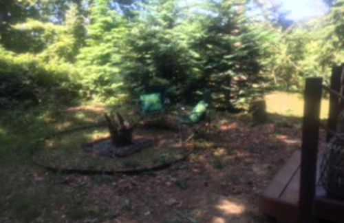 Unique & serene 1-Bed Cabin close to Domfront - Foto 9