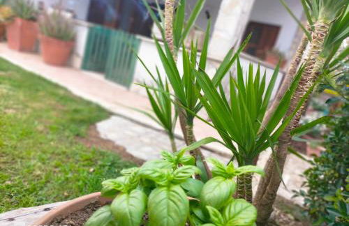 Casale del sole - Foto 25